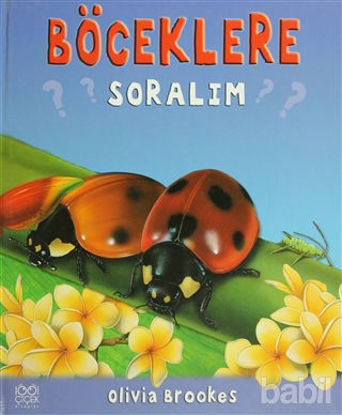Picture of Böceklere Soralım