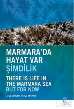 Picture of Marmara’da Hayat Var Şimdilik