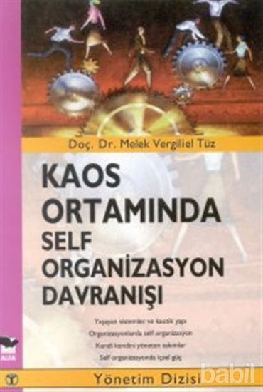 Picture of Kaos Ortamında Self Organizasyon Davranışı