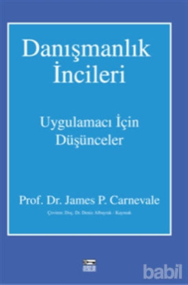 Picture of Danışmanlık İncileri