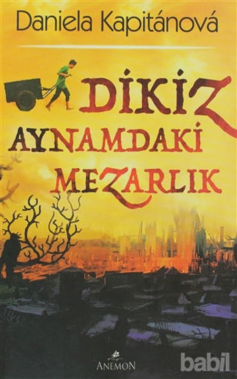 Picture of Dikiz Aynamdaki Mezarlık
