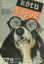 Picture of Kötü Köpek