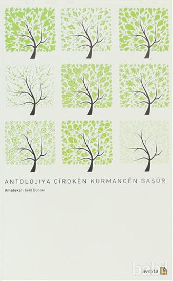 Picture of Antolojıya Çıroken Kurmancen Başur