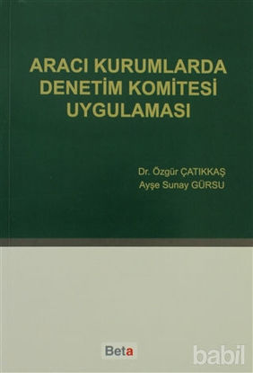 Picture of Aracı Kurumlarda Denetim Komitesi Uygulaması
