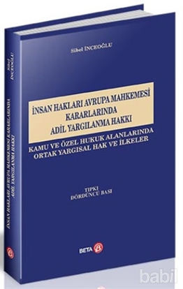 Picture of İnsan Hakları Avrupa Mahkemesi Kararlarında Adil Yargılanma Hakkı