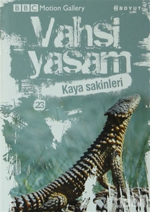 Picture of Vahşi Yaşam 2 - Kaya Sakinleri