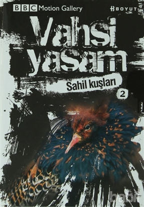 Picture of Vahşi Yaşam 2 - Sahil Kuşları