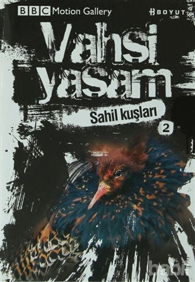 Picture of Vahşi Yaşam 2 - Sahil Kuşları