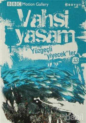 Picture of Vahşi Yaşam 2 - Yüzgeçli Yiyecekler