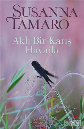Picture of Aklı Bir Karış Havada