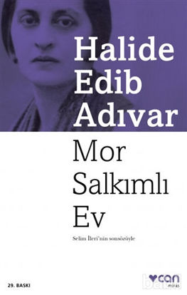Picture of Mor Salkımlı Ev
