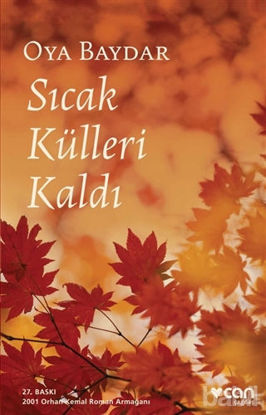 Picture of Sıcak Külleri Kaldı