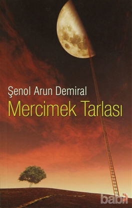 Picture of Mercimek Tarlası