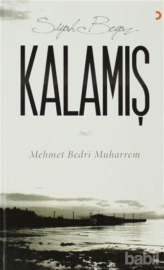 Picture of Siyah Beyaz Kalamış