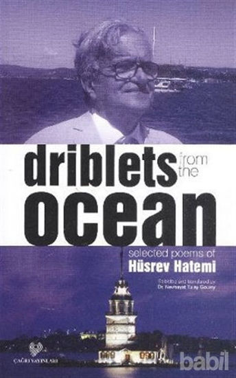 Picture of Driblets from the Ocean