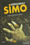 Picture of Bergamalı Simo