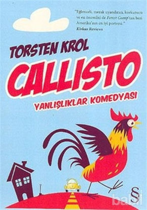 Picture of Callisto