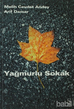 Picture of Yağmurlu Sokak