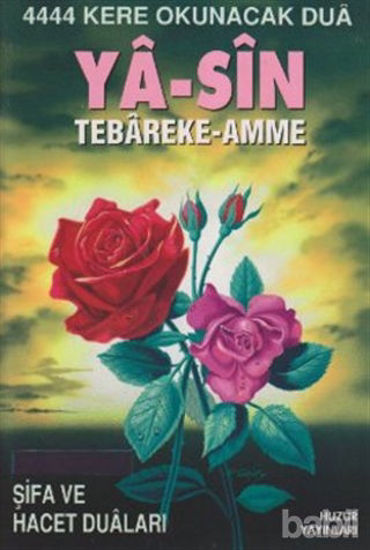 Picture of Ya-Sin Tebareke - Amme