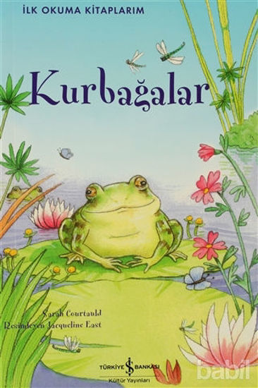 Picture of Kurbağalar