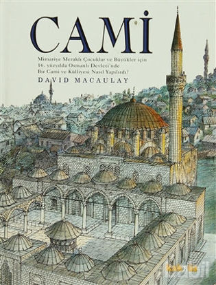 Picture of Cami