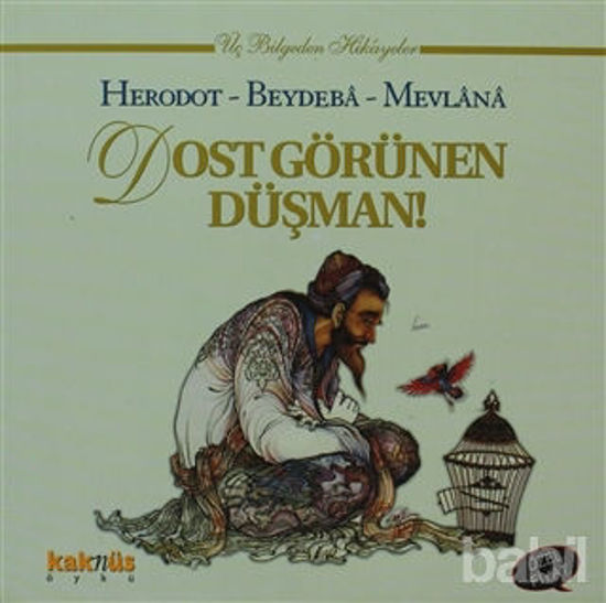 Picture of Dost Görünen Düşman!