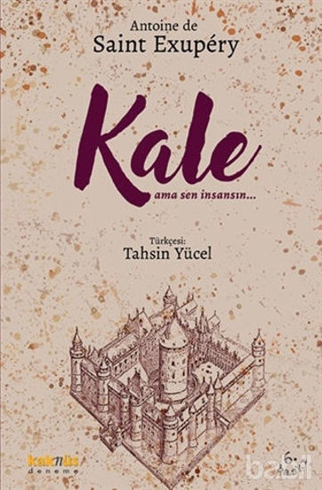 Picture of Kale