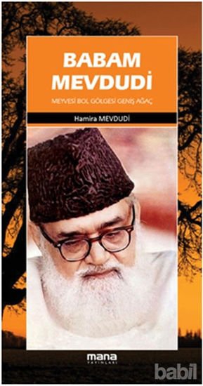 Picture of Babam Mevdudi