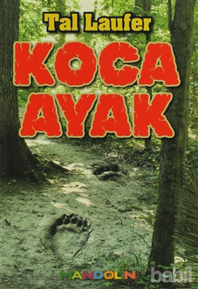 Picture of Koca Ayak