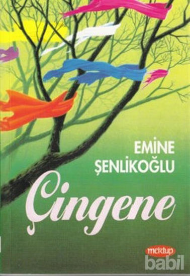 Picture of Çingene