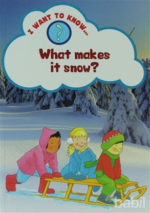Picture of What Makes It Snow?