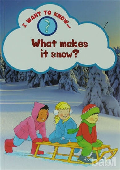 Picture of What Makes It Snow?