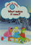 Picture of What Makes It Snow?