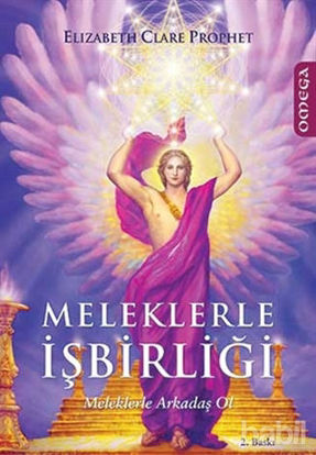 Picture of Meleklerle İşbirliği