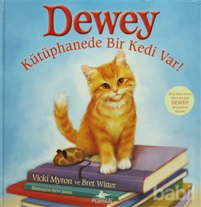 Picture of Dewey - Kütüphanede Bir Kedi Var!