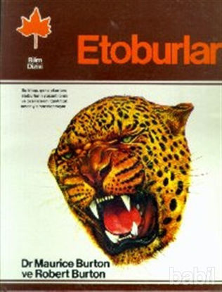 Picture of Etoburlar