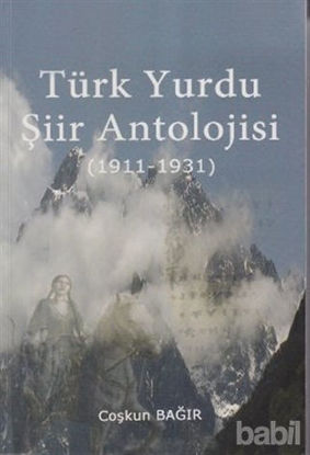 Picture of Türk Yurdu Şiir Antolojisi (1911-1931)