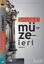 Picture of İstanbul Müzeleri