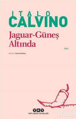 Picture of Jaguar Güneş Altında