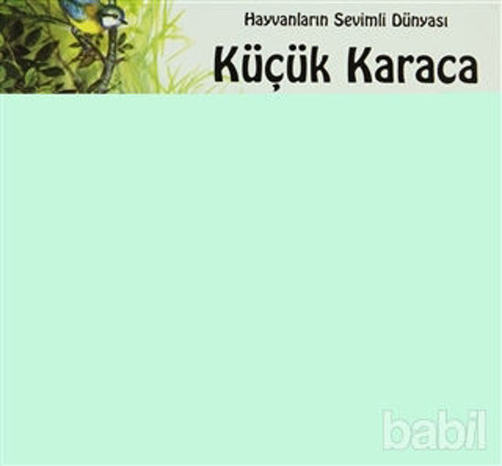 Picture of Küçük Karaca