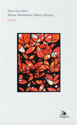 Picture of Biraz Sonbahar Biraz Hüzün