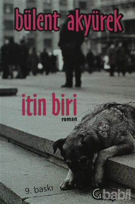 Picture of İtin Biri