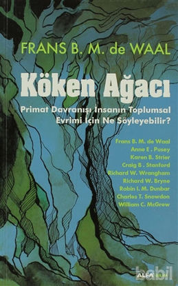 Picture of Köken Ağacı