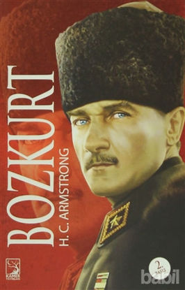 Picture of Bozkurt