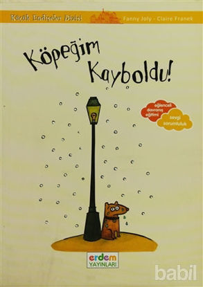 Picture of Köpeğim Kayboldu - Küçük Endişeler Dizisi