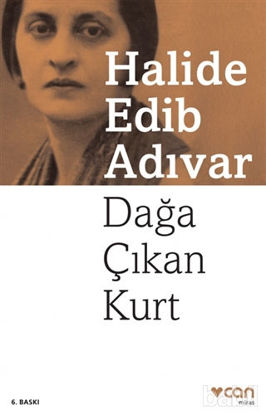 Picture of Dağa Çıkan Kurt