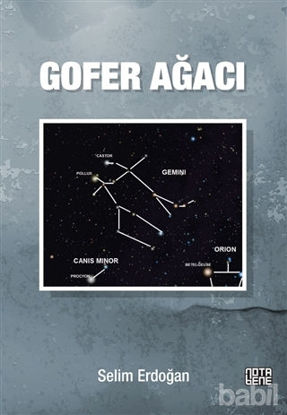 Picture of Gofer Ağacı