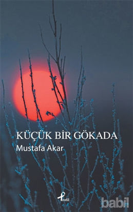 Picture of Küçük Bir Gökada