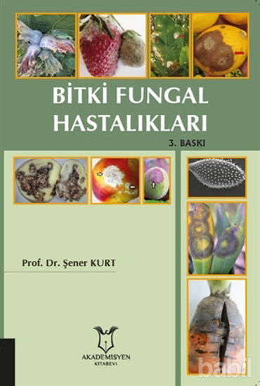 Picture of Bitki Fungal Hastalıkları