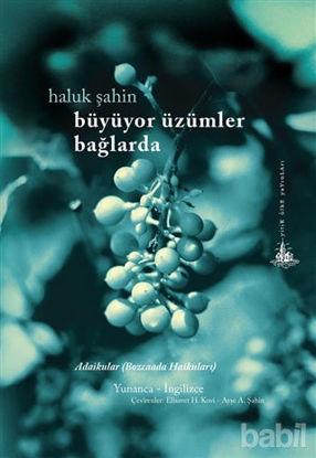Picture of Büyüyor Üzümler Bağlarda